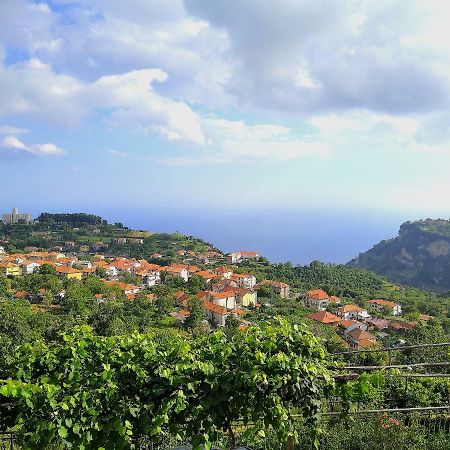 Agriturismo Il Castagno Villa Agerola Luaran gambar