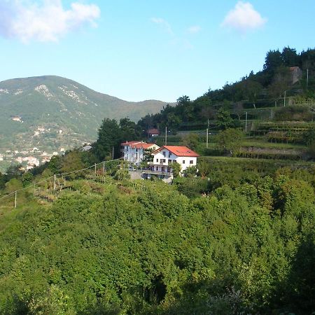 Agriturismo Il Castagno Villa Agerola Luaran gambar