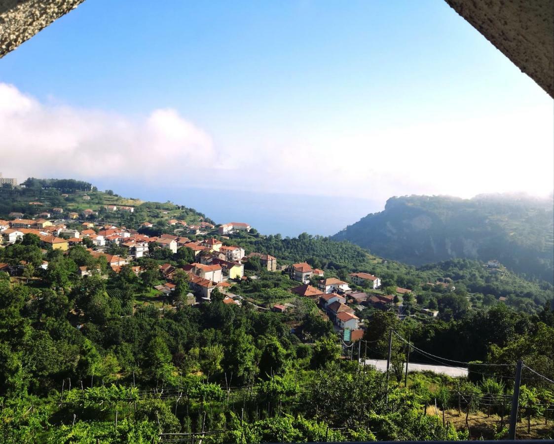 Agriturismo Il Castagno Villa Agerola Luaran gambar
