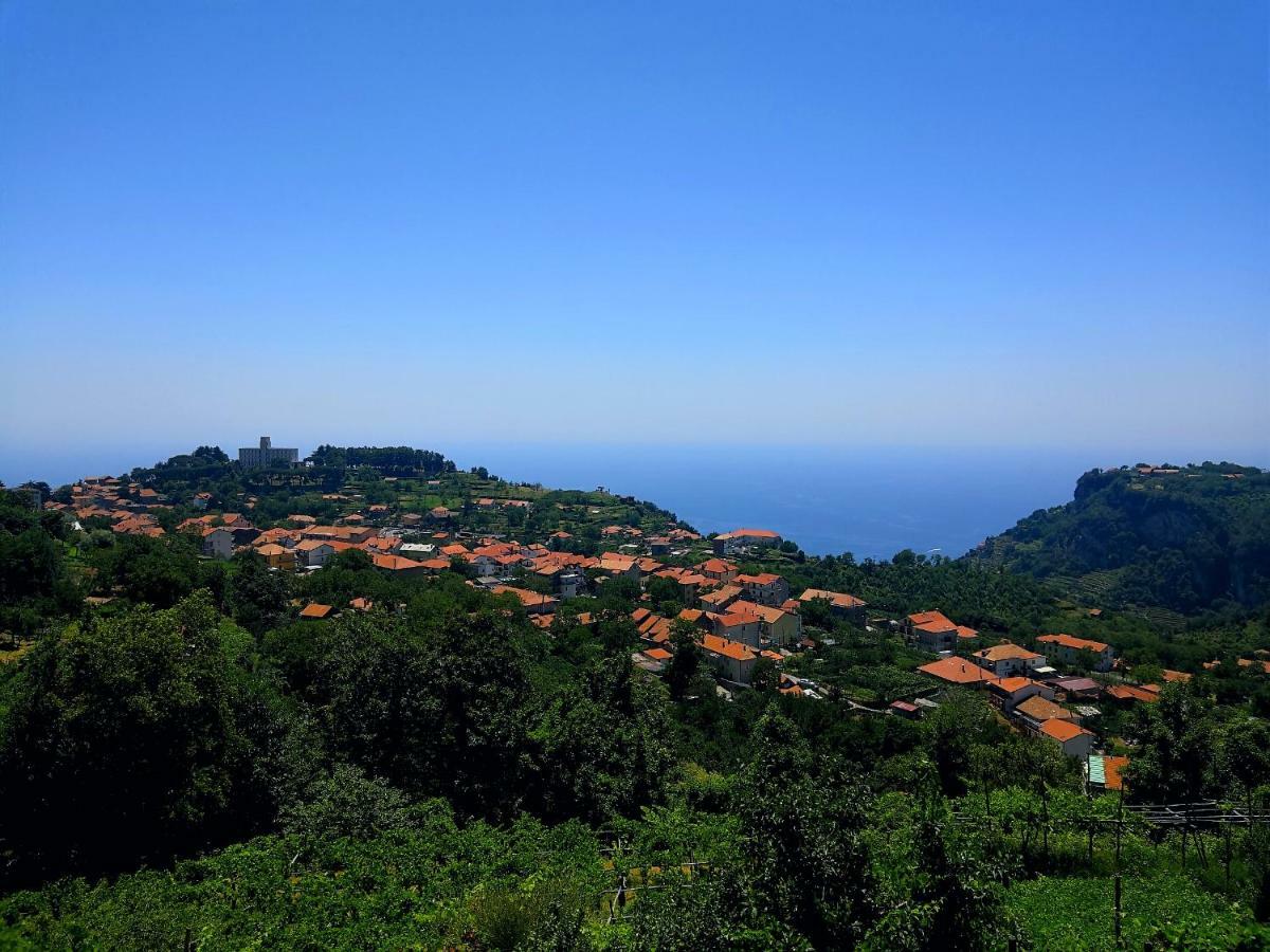 Agriturismo Il Castagno Villa Agerola Luaran gambar