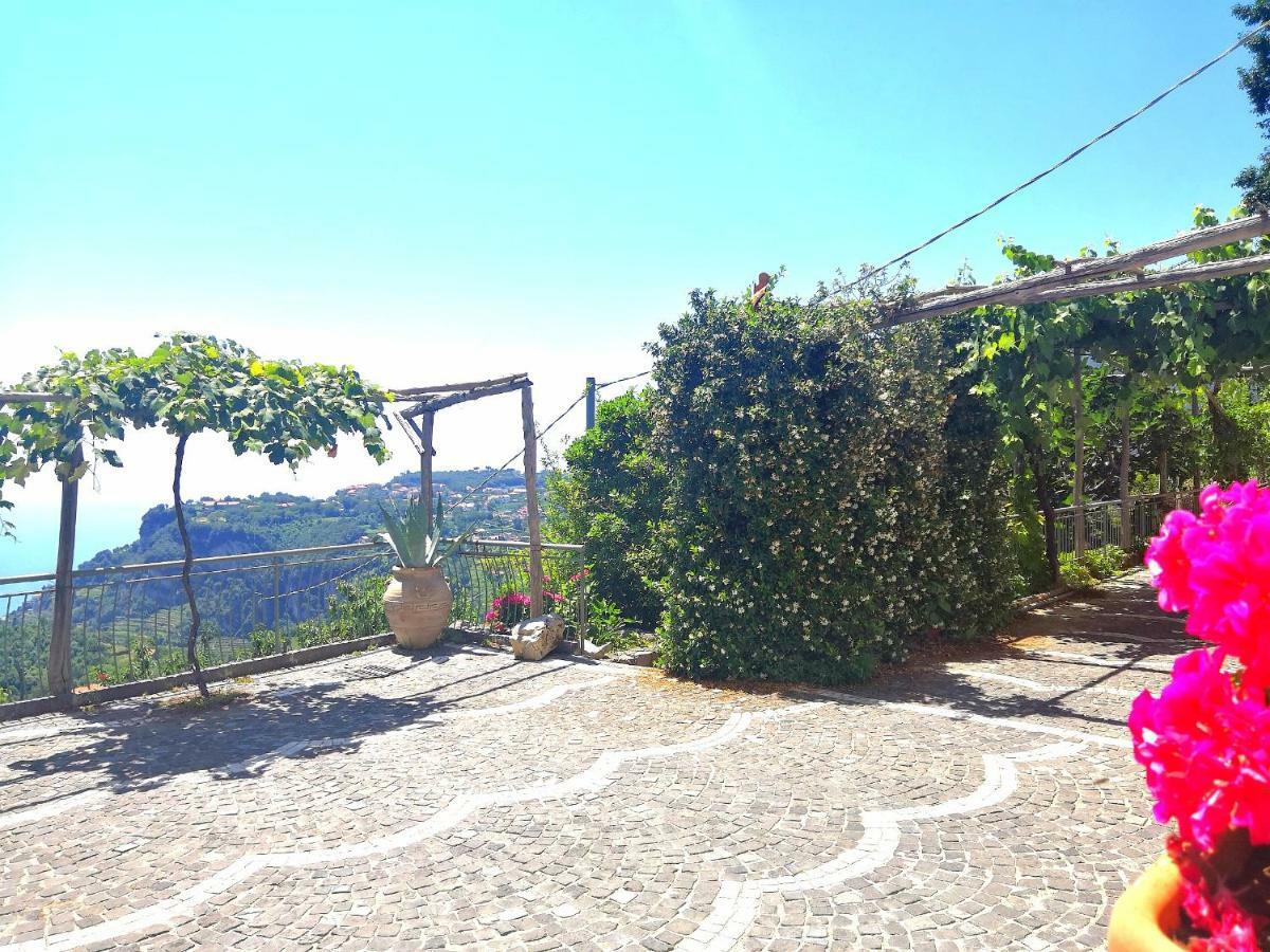Agriturismo Il Castagno Villa Agerola Luaran gambar