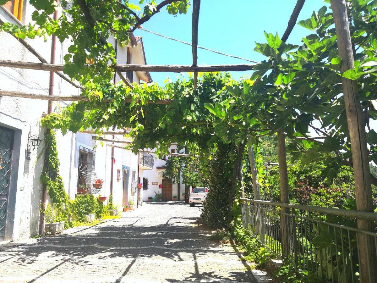 Agriturismo Il Castagno Villa Agerola Luaran gambar