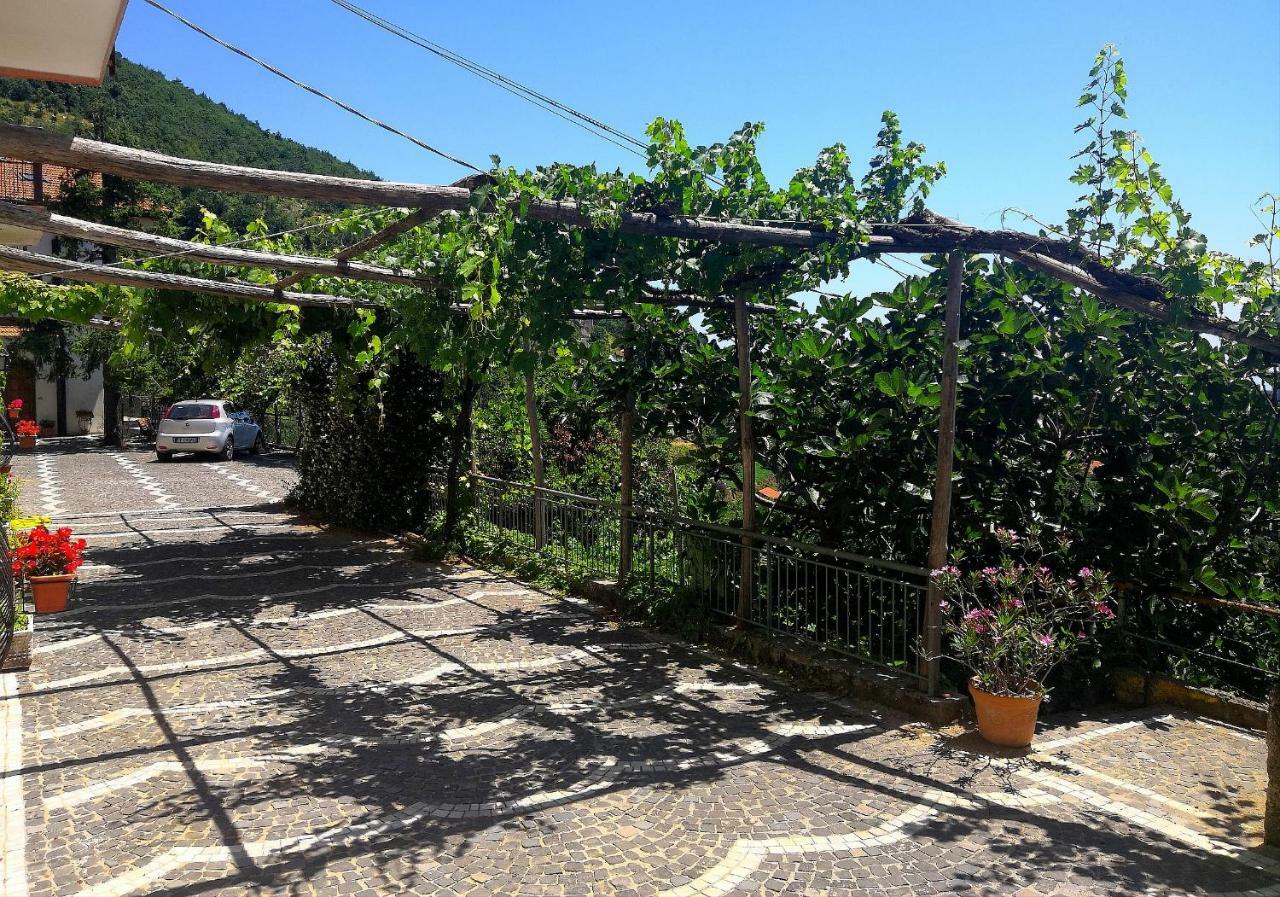 Agriturismo Il Castagno Villa Agerola Luaran gambar