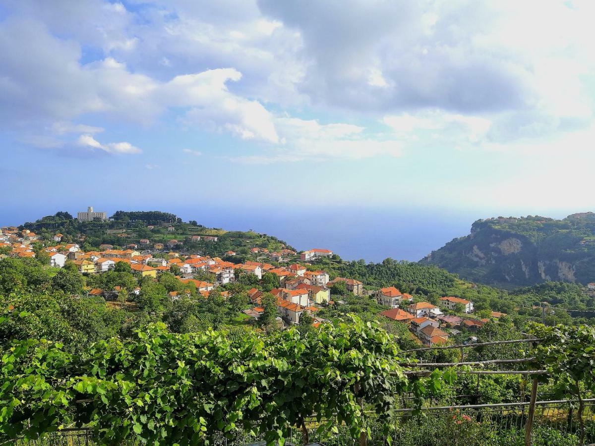 Agriturismo Il Castagno Villa Agerola Luaran gambar