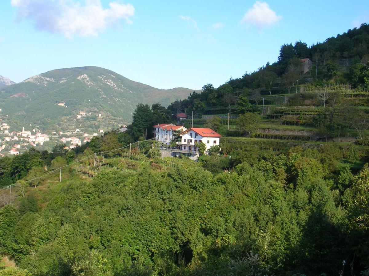 Agriturismo Il Castagno Villa Agerola Luaran gambar